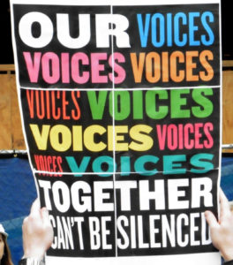 Our Voices Poster ~ Newsletters are the voices of CCWH Members